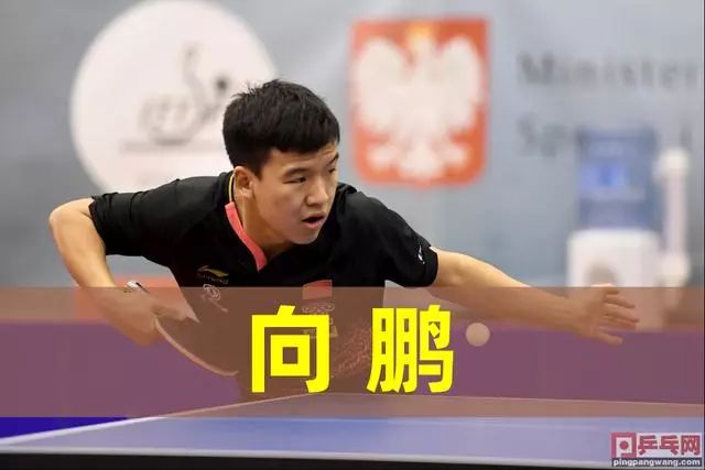 年人保护与 年人保护与